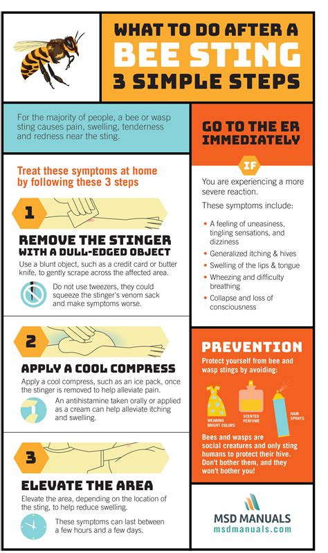 3 Steps to Take Immediately After a Bee Sting - MSD Manual Consumer Version