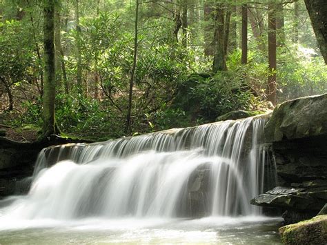 Deep Creek Lake Hiking Trails to Explore