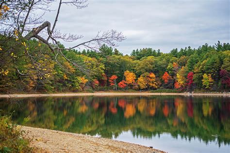 Walden Pond Fall Foliage Concord MA Photograph by Toby McGuire - Pixels