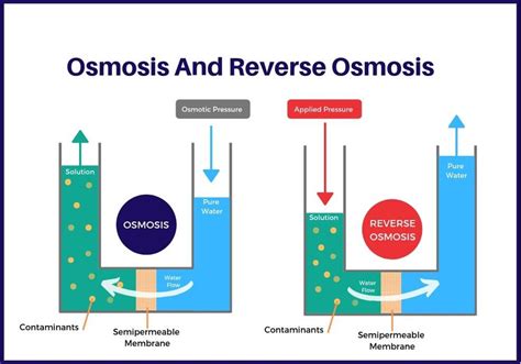 Reverse Osmosis Process Reverse Osmosis Process Diagram | My XXX Hot Girl