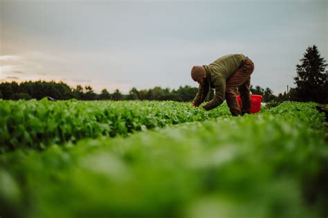 Our Story — Bumbleroot Organic Farm