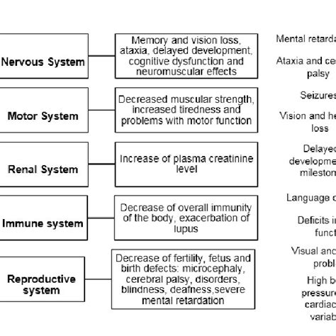 (PDF) Hazards of Mercury – Safety Perspectives and Measures