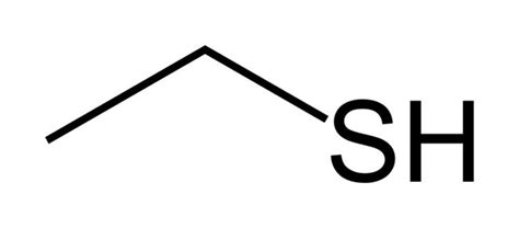 Ethanethiol - Alchetron, The Free Social Encyclopedia