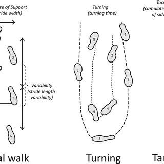 Tandem Gait Test