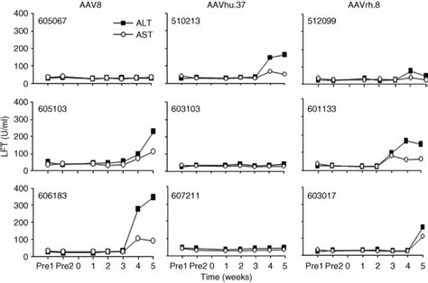 Time course of liver enzyme levels (ALT and AST) in monkeys before and ...