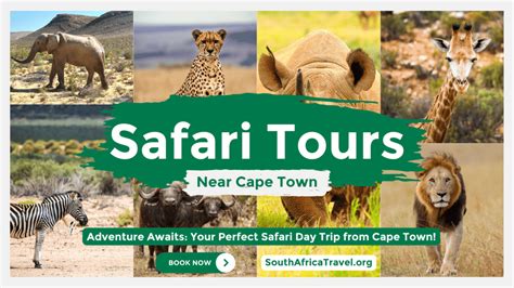 Safari Tours from Cape Town | Best Big 5 Safari Day Trips