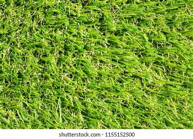 Variety Artificial Grass Types Stock Photo 1155152500 | Shutterstock