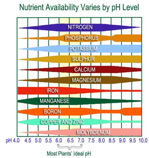 Soil pH - Ornamental Plant Care Information from PlantsGalore.Com