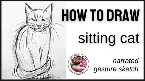 How to Draw a Cat Sitting Down face forward, full body upright simple ...