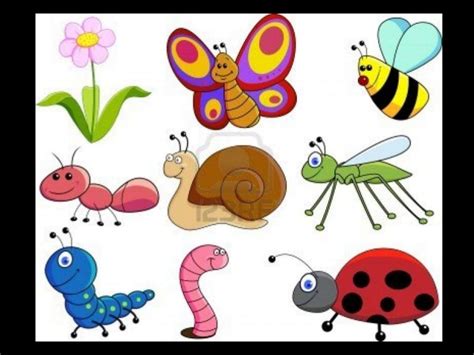 Dibujos De Animales Invertebrados Para Niños - heartfeltblurbs.blogspot.com