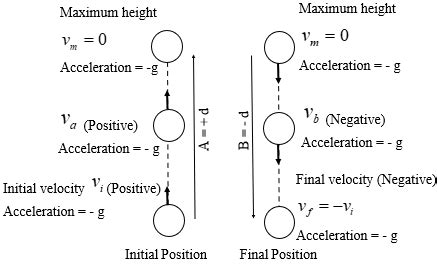 Explain particle model of motion? Draw the motion diagram of a ball tossed straight in the air ...