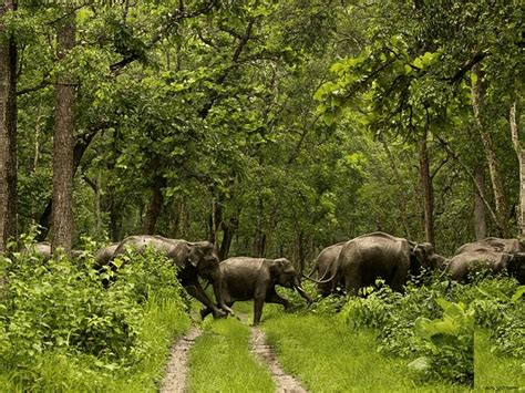 Top 10 Best Wildlife Sanctuaries In Kerala - Resort In Asia