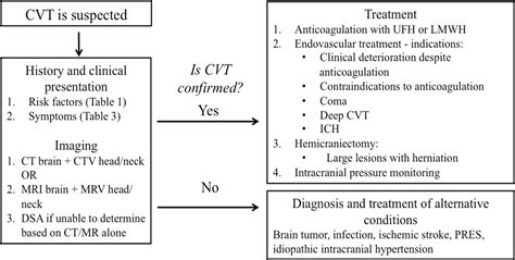 Current endovascular strategies for cerebral venous thrombosis: report of the SNIS Standards and ...