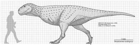 Skorpiovenator bustingorryi Size Chart by Paleocolour on DeviantArt