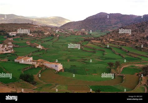 Saudi Arabia Abha Hejaz Mountains Green fields Stock Photo: 20548667 ...