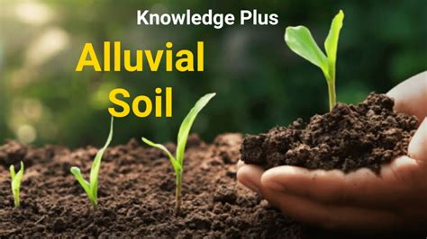 Types Of Soil Alluvial