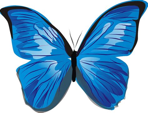 Blue butterfly PNG image