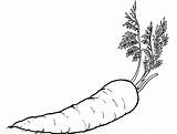Free Printable Carrot Coloring Pages For Kids  GBcoloring sketch template