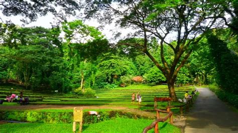 Wow La Mesa Eco Park Quezon City - YouTube