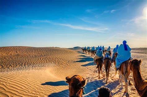 Desert odyssey: planning your trip to the Tunisian Sahara - Lonely Planet