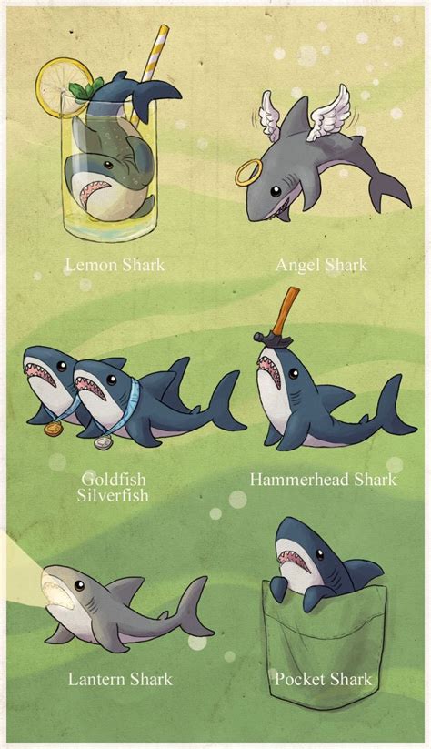 Tumblr photo grab about sharks | Funny animal memes, Cute shark, Cute funny animals