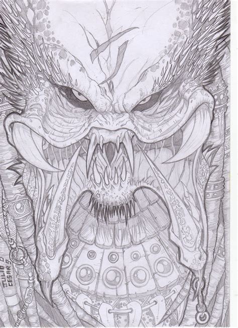 Predator Face Drawing