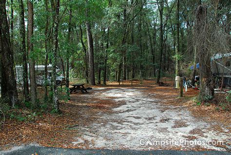 Suwannee River State Park - Campsite Photos, Info & Reservations