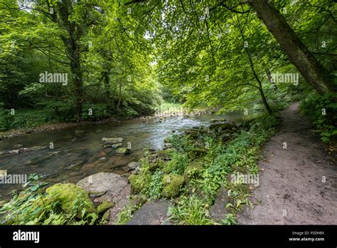 Bedlington Country Park, Bedlington, Northumberland, England Stock Photo - Alamy