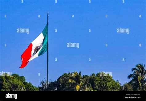 Mexican green white red flag with palm trees and blue sky and clouds in ...