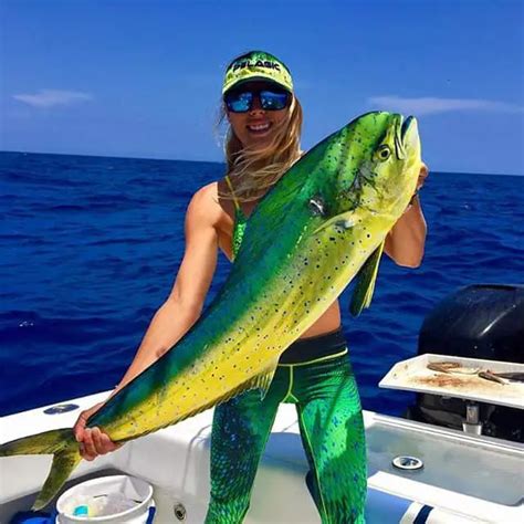 12 Productive Mahi Mahi (dolphin) Fishing tips! – Siesta Key Fishing Charters