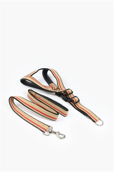 Pet Leash Harness Medium