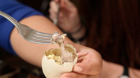 Introducing Balut Eggs, The World's Weirdest Duck Dish