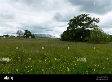 National botanic garden wales meadow hi-res stock photography and images - Alamy