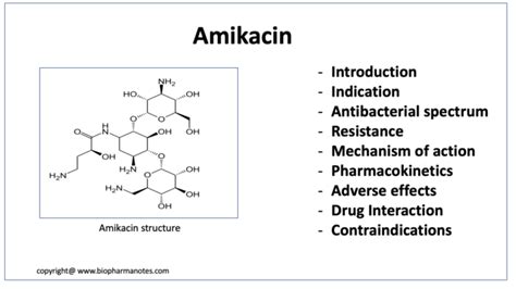 Amikacin Pharmacology - BioPharma Notes