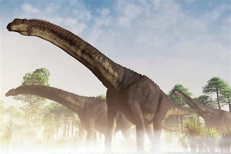 Dinosaur found in Argentina may be largest land animal ever | New Scientist