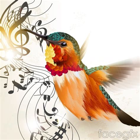 Beautiful Hummingbird accent background vector | Music notes art, Music drawings, Music notes tattoo