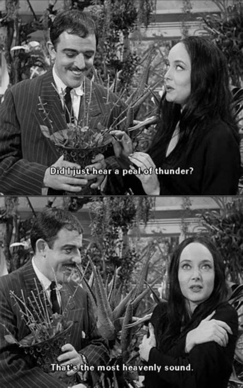 17 Classic Quotes from Goth Icon Morticia Addams | Let's Eat Cake