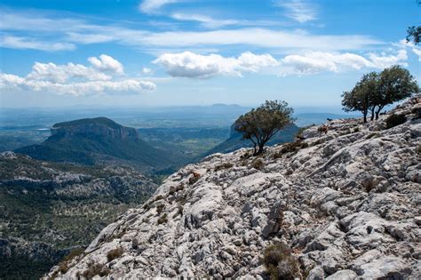 The Best Rated Hiking Routes in Majorca | Sustain Health Magazine