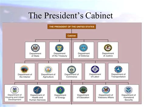 President's Cabinet Diagram | Quizlet