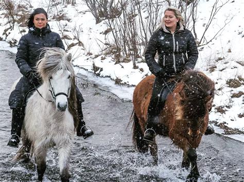 The Magical Experience of a Winter Horse Riding Tours in Iceland