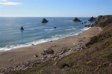 Jenner Beach (Driftwood Beach) in Jenner, CA - California Beaches