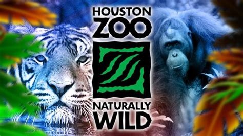 10 Things You Didn't Know about the Houston Zoo