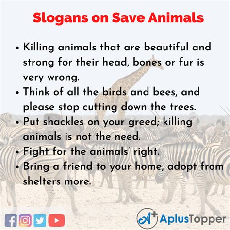 Slogans on Save Animals | Unique and Catchy Slogans on Save Animals in English - CBSE Library