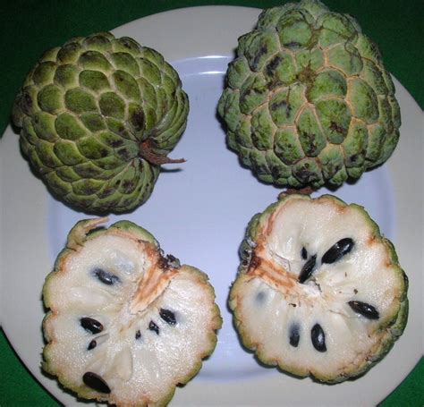 The World’s Weirdest and Most Exotic Fruits - Delishably