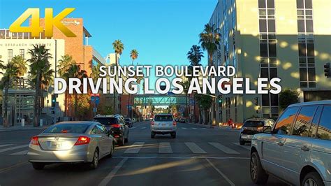 [4K] Driving Los Angeles - Sunset Boulevard from Sunset Strip to ...