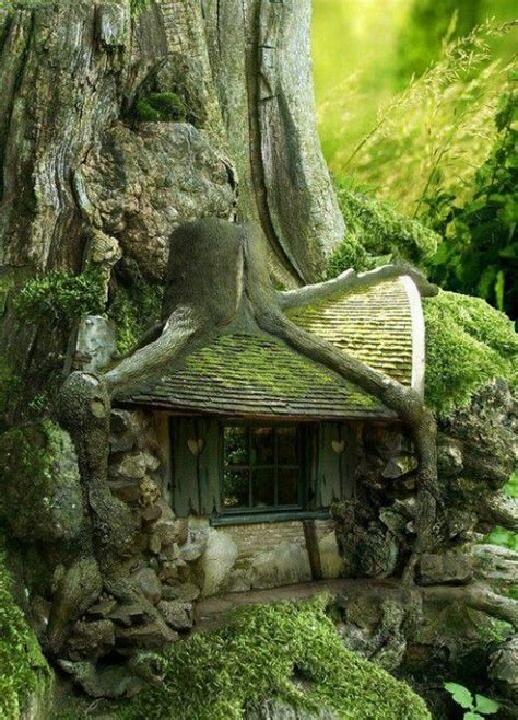 its a fairy house!!!! | Tree house, Forest house, Fairy houses