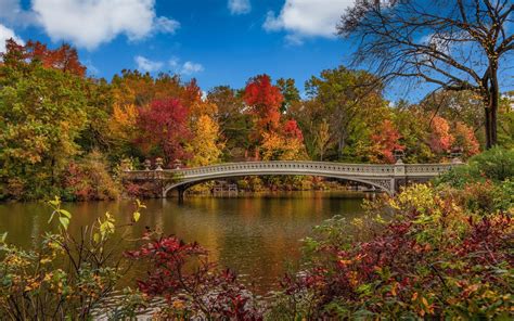 Download USA New York Bridge Fall Central Park 4k Ultra HD Wallpaper