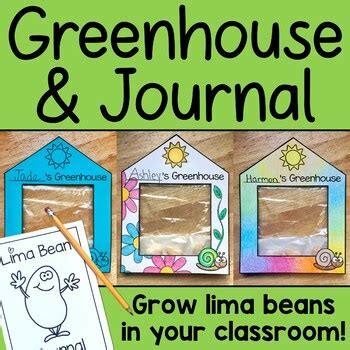 Lima Bean Plant Growing Greenhouse and Journal Science Activity | TPT