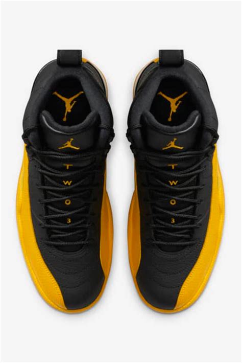 Air Jordan 12 ‘University Gold’: Release Date + Info – Footwear News