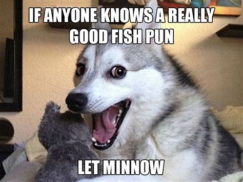 Animals Telling Silly Puns